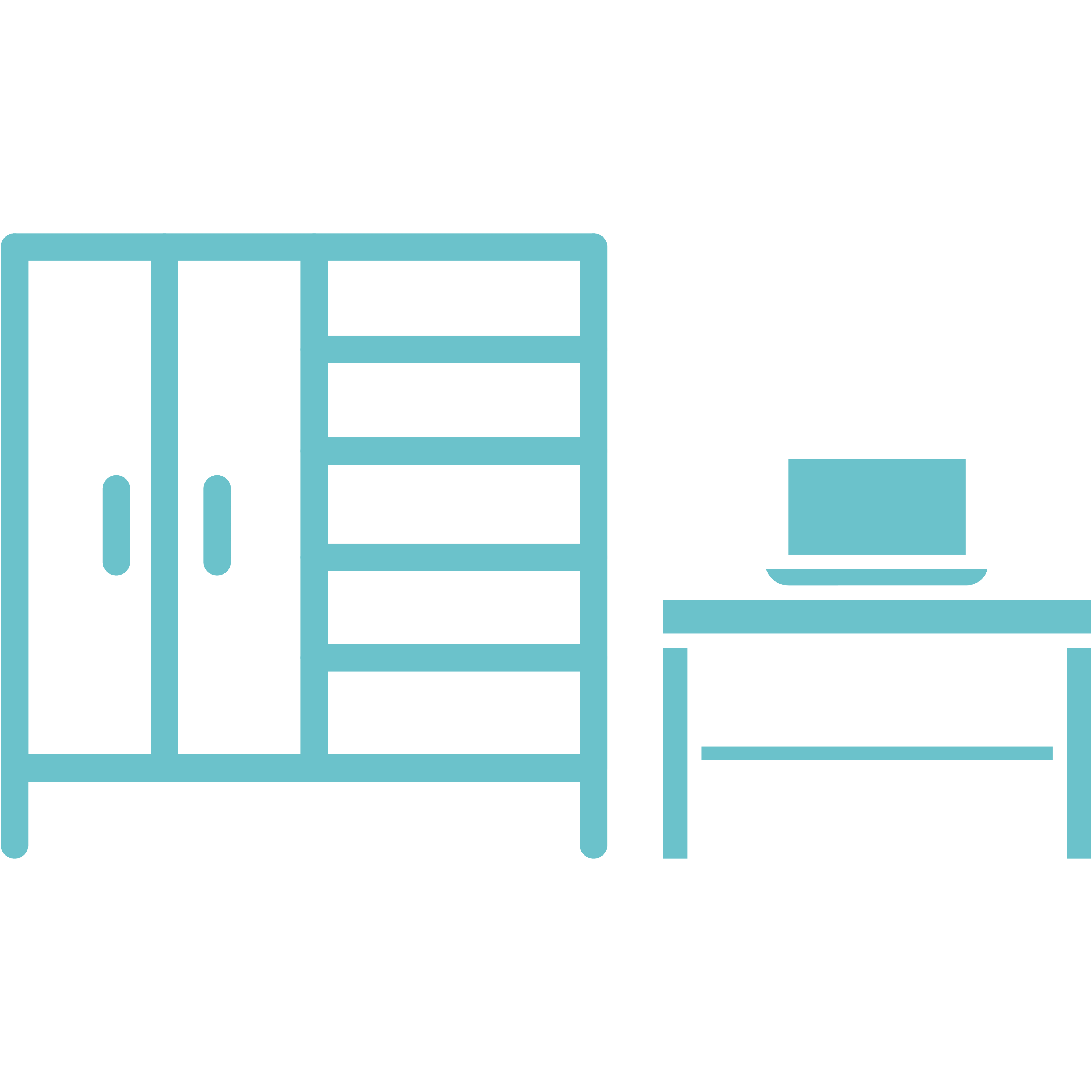 Wardrobe & Study Desk